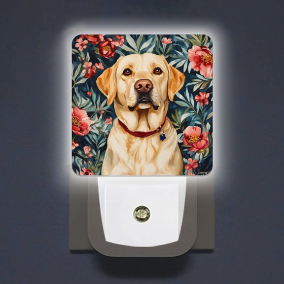 Square LED Night Lights Lamp with Dusk to Dawn Sensor, Yellow Lab With Red Collar Night Light Plug Into Wall for Kids Room, Bedroom, Bathroom, Kitchen, Hallway