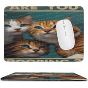 Square Non-Slip Rubber Computer Mouse Mat, Desk Mouse Pad for Gaming Office Laptop Home, Funny Cat Decor, Humor Bathroom Saying, Funny Mouse Pad Gift for Friends 8x10 inch