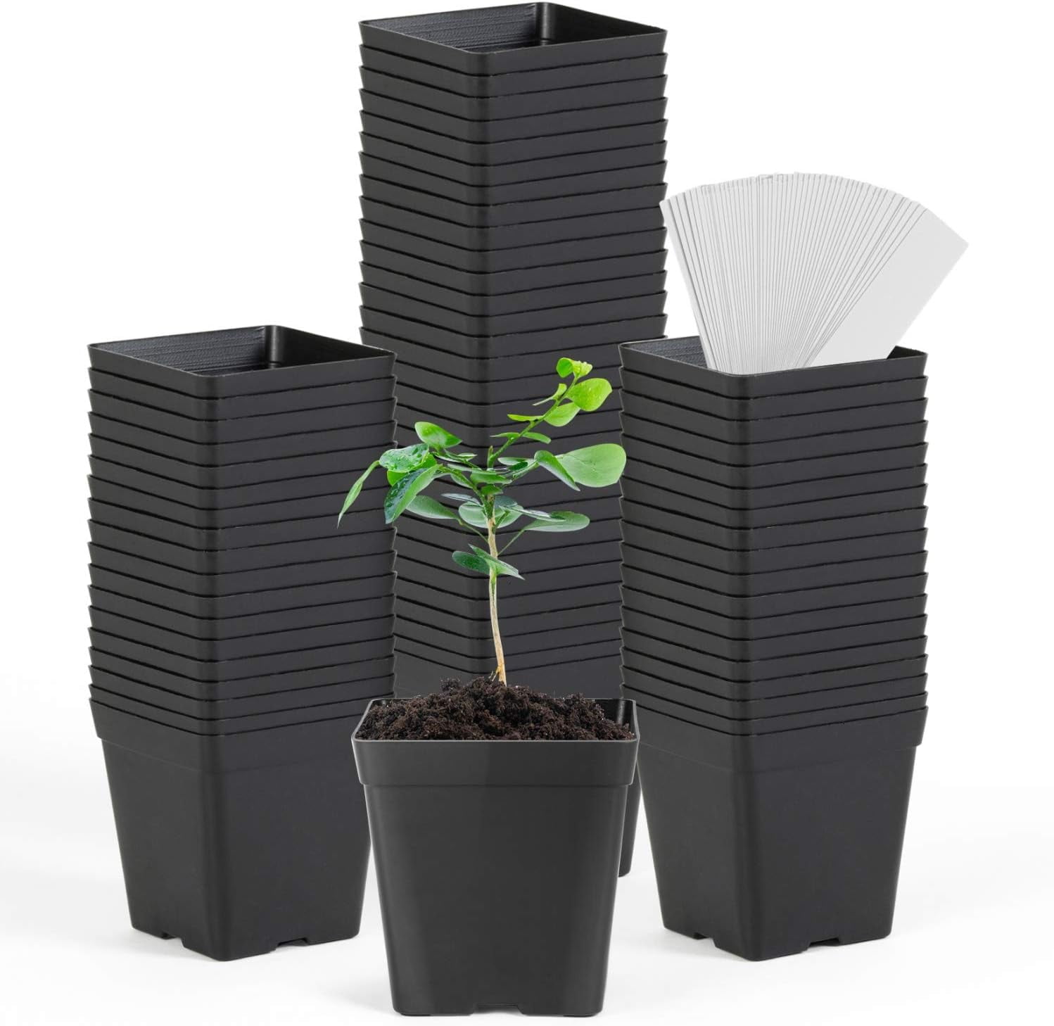 Square Nursery Pots 3.3 Inches Flexible Plastic Seedling Pots Square ...