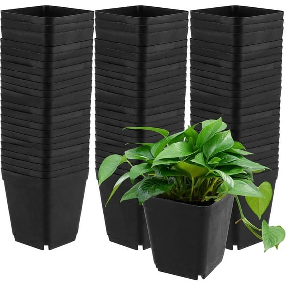 Square Nursery Pots 50 Pcs Black Starter Container for Starting Seedlings or Succulents, Seedling Flower Seed Start Germination Pots for Plant Propagation,2.2 inch Seed Starting Transplant Planter