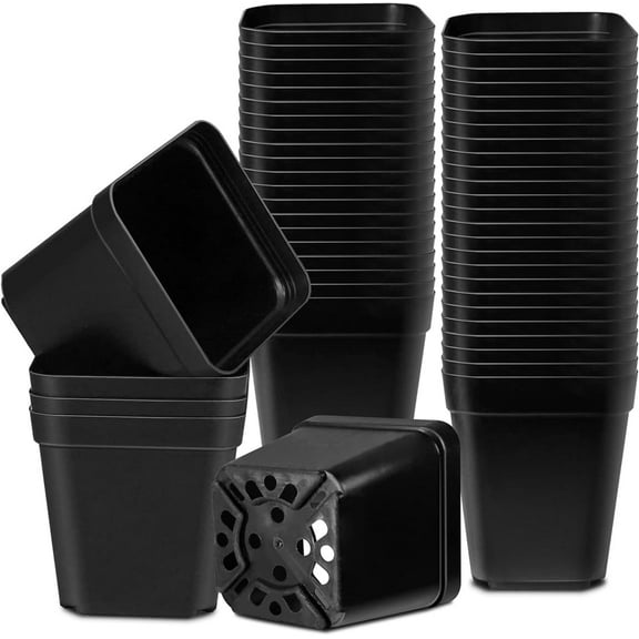 Square Nursery Pots, 50 Set Succulent Plastic Pots, Planter Nursery Pots, Small Plant Seeds Starter Germination Pots with Drainage, Flower Growing Pot, Black, 2.2 in