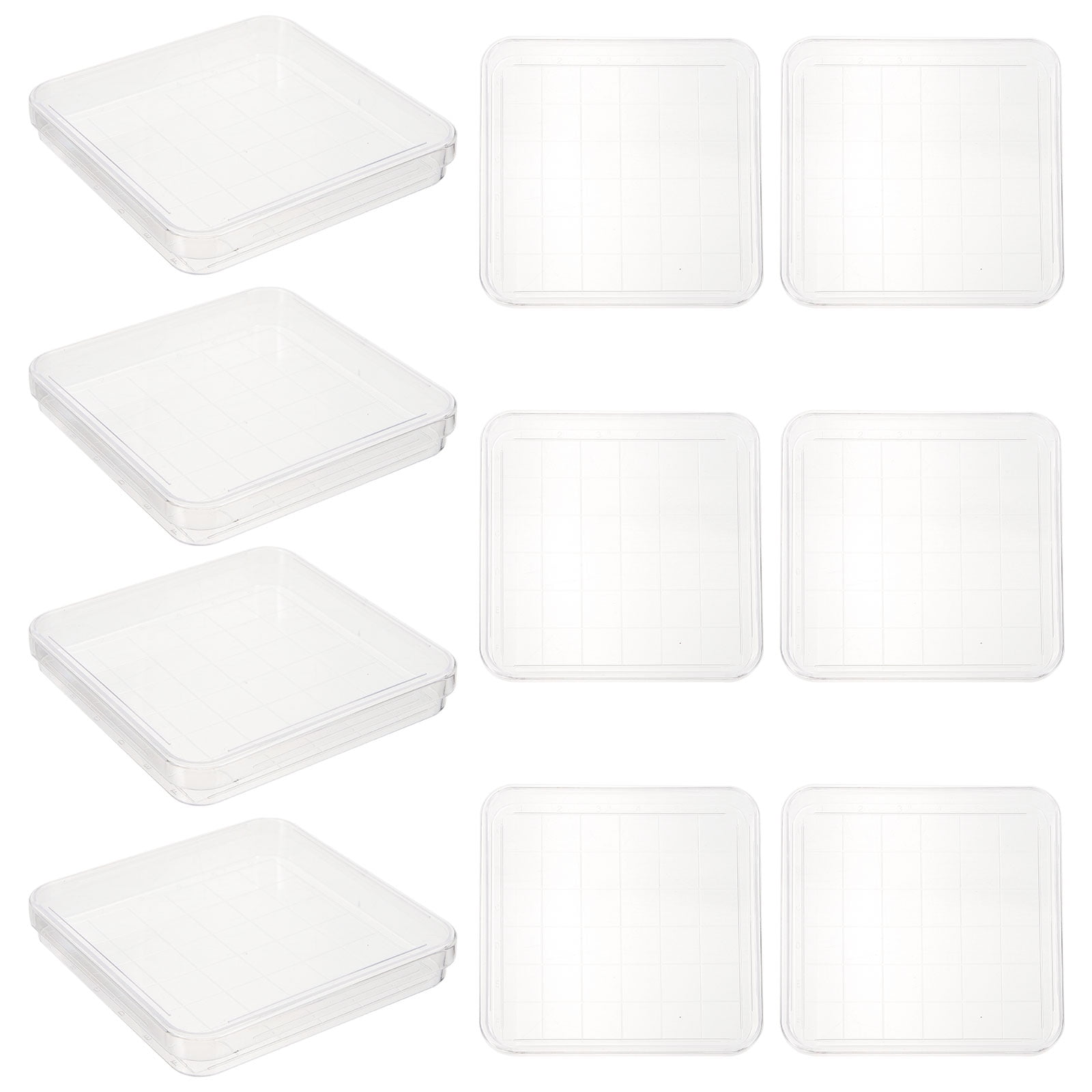 Square Petri Dish Grid Extract Agar Growth Medium Transparent Dishes ...