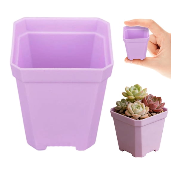 Square Plastic Succulent Plant Pot,2X3" Mini Square Cactus Growing Container, Drainage Hole Small Seedling Nursery Flower Pot, Lightweight Planter Tub, Stackable Tiny Square Plant Starting Pot