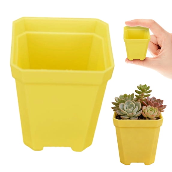 Square Plastic Succulent Plant Pot,2X3" Mini Square Cactus Growing Container, Drainage Hole Small Seedling Nursery Flower Pot, Lightweight Planter Tub, Stackable Tiny Square Plant Starting Pot