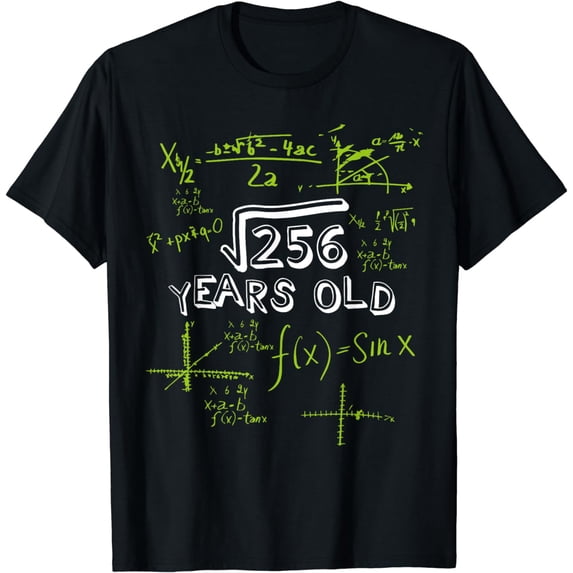 Square Root Of 256 Math 16th Birthday Sweet 16 Years Old Fun T-Shirt