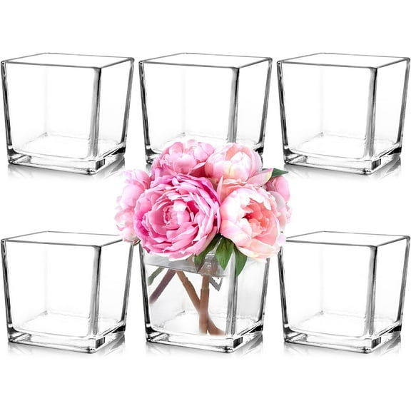 Square glass vase, transparent vase, plant glass container, candle holder, suitable for wedding center decoration, office decoration, home decoration, parties and events