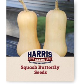 Harris Seeds - Winter Squash Butterfly F1 Variety Orange Flesh - 250 Seeds