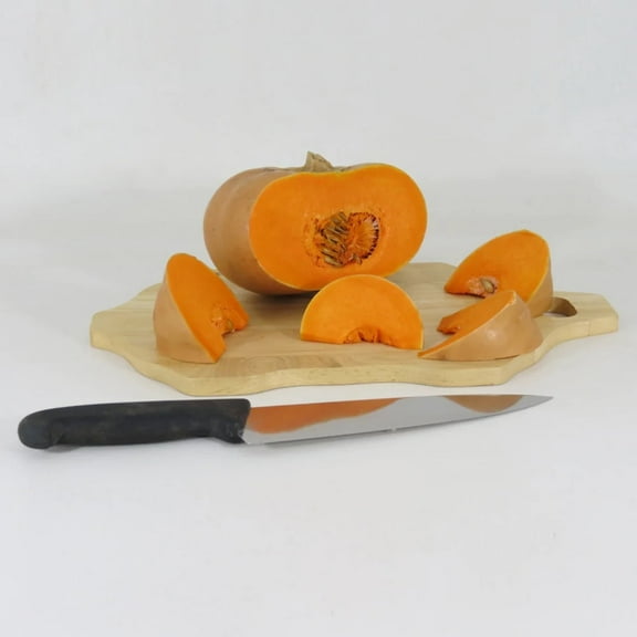 Squash Butterkin F1 Seed