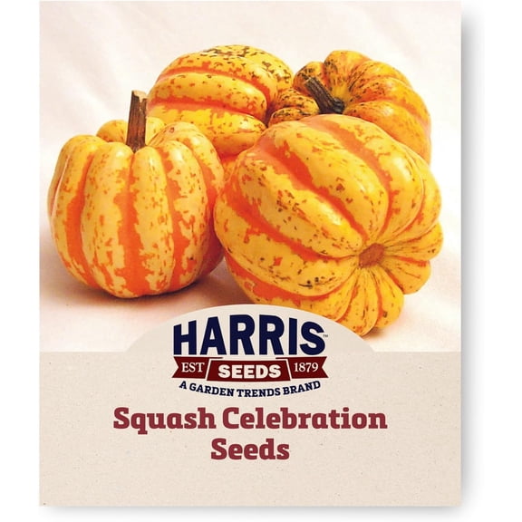 Harris Seeds Celebration Acorn Squash F1, Decorative and Edible Variety, 25 Count