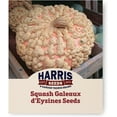 thumbnail image 1 of Harris Seeds - Winter Squash Galeux d'Eysines Peanut Pumpkin Treated - 1 Oz., 1 of 7