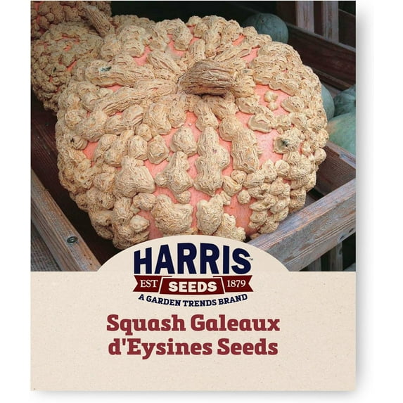 Harris Seeds - Winter Squash Galeux d'Eysines Peanut Pumpkin - 1 Oz.
