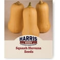thumbnail image 1 of Harris Seeds - Squash Seeds Havana F1 Variety Blocky Shaped Orange - 250 Seeds, 1 of 7