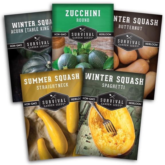 Winter & Summer Squash Vegetable Seeds 5 Variety Pack - Full Sun, Annual