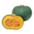 thumbnail image 1 of Squash Seeds - Japanese, Winter - Blue Kuri - 4 Oz ~600 Seeds - Non-GMO, Heirloom - Asian Garden Vegetable, 1 of 1
