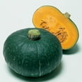 thumbnail image 1 of Squash Seeds - Japanese, Winter - Sweet Mama - Hybrid - 1 Oz ~156 Seeds - Non-GMO, F1 Hybrid - Asian Garden Vegetable, 1 of 1