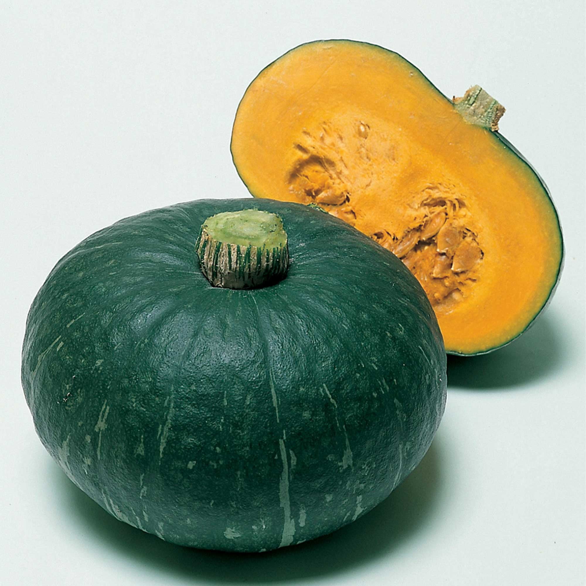 Kitazawa Seed Company Sweet Mama Squash Seeds - Thumbnail 2