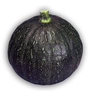Squash Seeds - Japanese, Winter - Tetsukabuto - Hybrid - 2 g Packet 12 Seeds - Non-GMO, F1 Hybrid - Asian Garden Vegetable