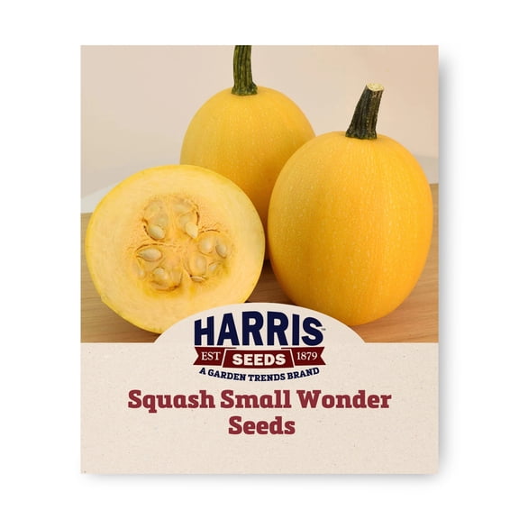 Harris Seeds Small Wonder F1 Spaghetti Squash, Compact Vine Winter Squash for Gardens, Treated, 25 Count