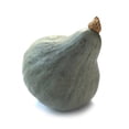 thumbnail image 1 of Squash Seeds - Winter - Hubbard Baby Green - 1 Lb ~2,720 Seeds - Cucurbita maxima - Farm & Garden Vegetable Seeds - Non-GMO, Heirloom, Open Pollinated, Annual, 1 of 2
