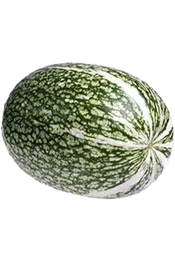 Girl's Cargo Hike Pant, Sizes 4-18 & Plus