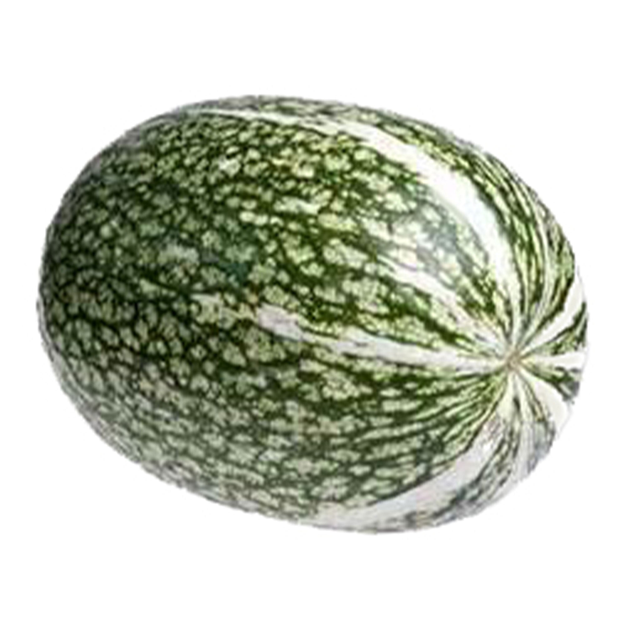 Squash Seeds, Winter - Shark Fin Squash Gom Bo - 1 Oz ~125 Seeds - Non-GMO, Heirloom - Asian Garden Vegetable