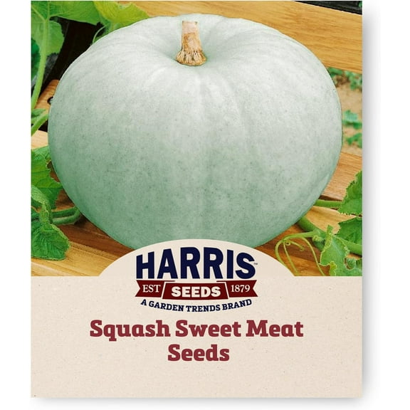 Harris Seeds - Squash Seeds Non-GMO Sweet Meat Yellow Variety - 1 Oz.
