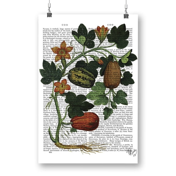 Squash Vine Poster - Fab Funky Designs,