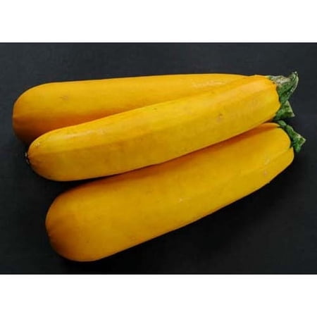 Squash Zucchini Golden Garden Heirloom Vegetable 20 Seeds
