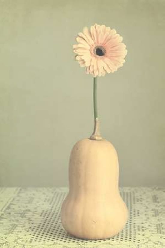 Squashed Canvas Art - Roberta Murray (24 x 36)