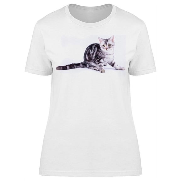 Squating Shorthair Kitten T-Shirt Women -Image by Shutterstock, Female Medium