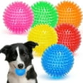 Squeaky Dog Toy Balls (6 Colors) Dog Toys Spikey Dog Ball for ...