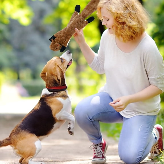 Squeaky Dog Toys for Aggressive Chewers Interactive Squirrel Without Stuffing Puppy Chew Toy for Small Medium Large Breeds Indoor Outdoor Play