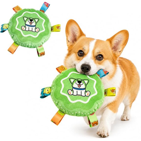 Squeaky Hanging Dog Toy with Elastic Rope, Durable Plush Chew Toy for Small Medium Large Dogs, Interactive Training Ball for Indoor Outdoor Green (k)