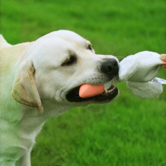 Squeaky Rubber Dog Toy for Large Medium Small Dogs – Interactive Chew Toy for Aggressive Chewers, Funny Screaming Duck Shape White