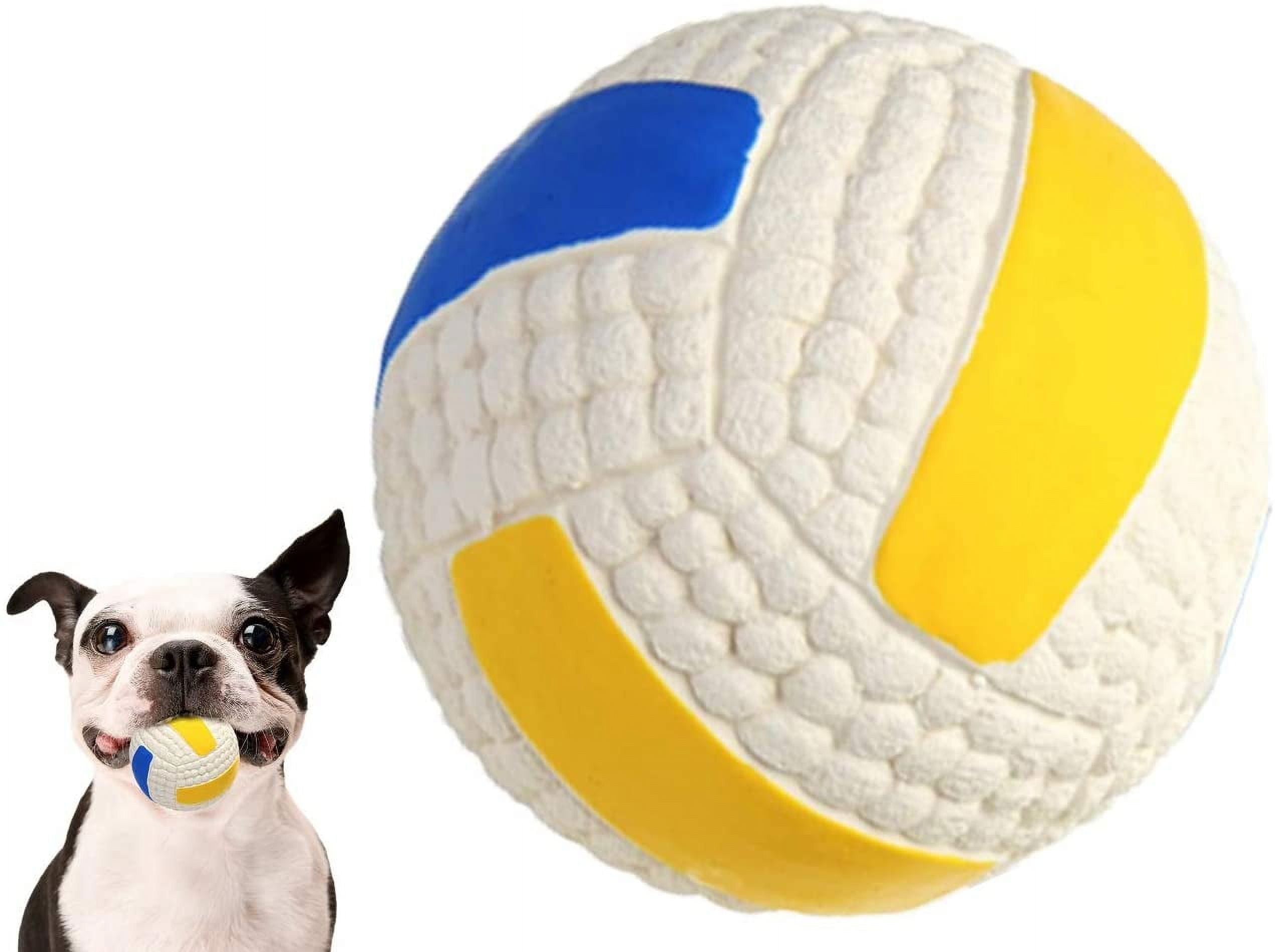 Squeaky Rubber Latex Dog Toy for Medium and Large Dogs, Interactive