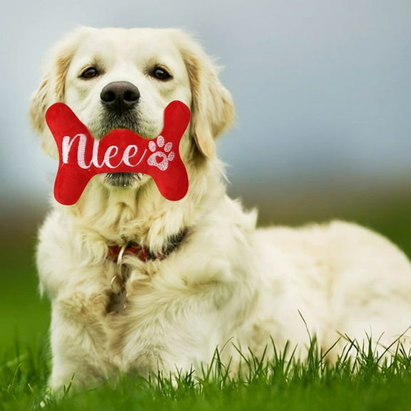 Squeaky Santa Dog Toy - 9" Chew Resistant Christmas Pet Toy with Festive Design, Red Velvet (Durable) Red