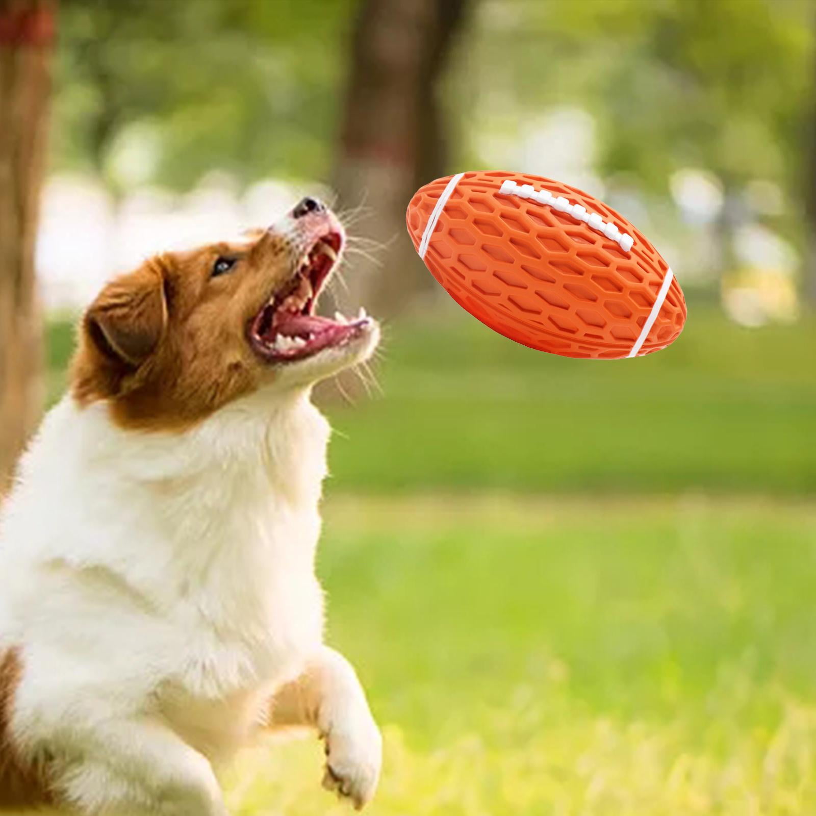 Squeaky frisbee dog clearance toy