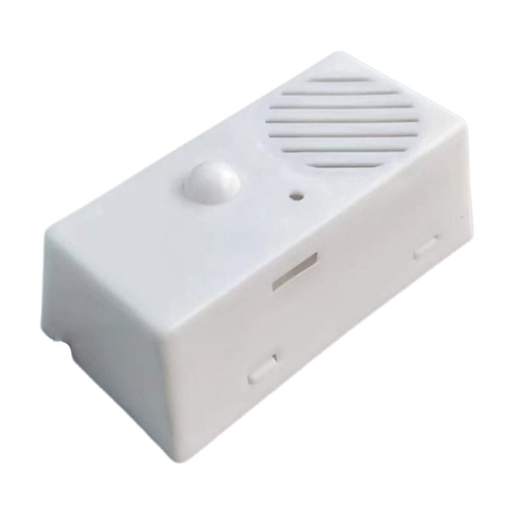 Sound Box Toy Squeeze Music Box with Recording Function Plush Toy Internal Sound ...