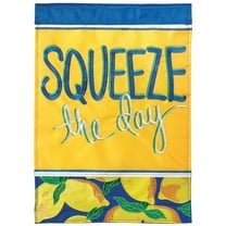 Squeeze The Day Yellow Lemon 23 x 7 Large Polyester Outdoor Hanging Garden Flag