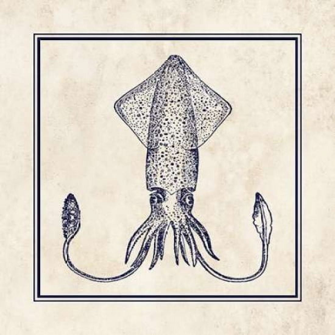 Squid Sq Canvas Art - N Harbick (24 x 24)