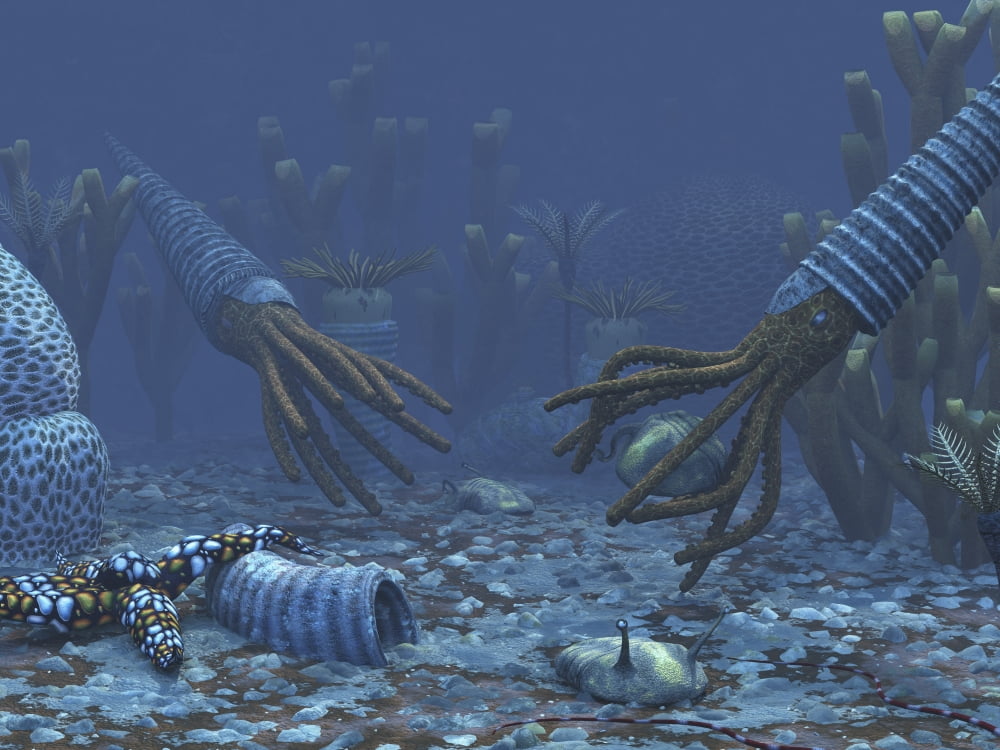 Squid-like Orthoceratites attempt to make meals of trilobites Canvas Art - Walter MyersStocktrek Images (17 x 13)