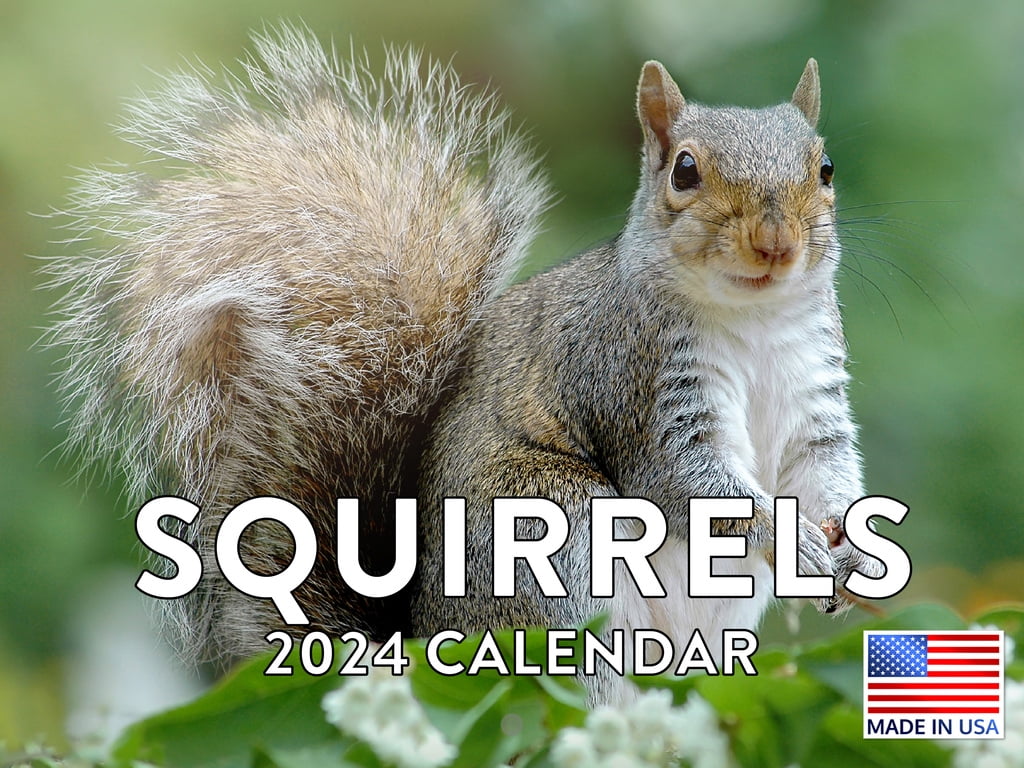 Squirrel 2024 Wall Calendar Squirrel 2024 Calendar