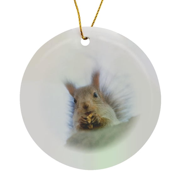 3drose, Squirrel Animal Sits on a Tree and Eats a Nut. White Background, Circle Porcelain Ornament