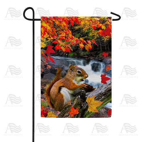 Squirrel At Waterfall Cute Wilderness Wildlife Nature Landscape Outdoor Accent, 12x18 POLE NOT INCLUDED