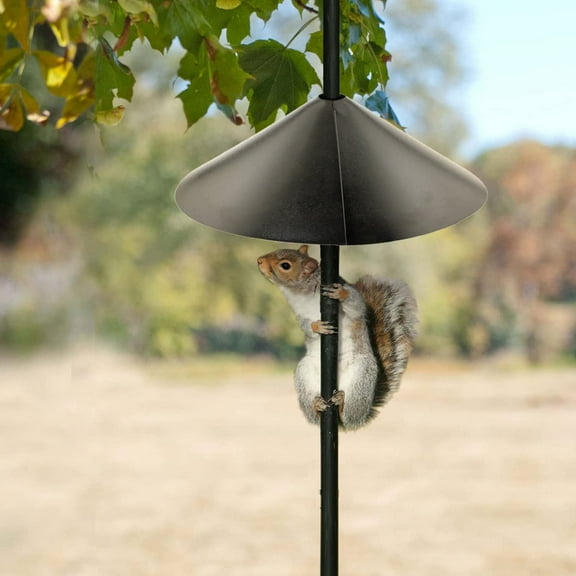 Squirrel Baffle for Bird Feeder Pole, Professional Galvanized Prevents Squirrel Guard Baffle, Protect Outside Hang Bird Feeders and Pole Mount from Raccoon Squirrels Rodents（16in）