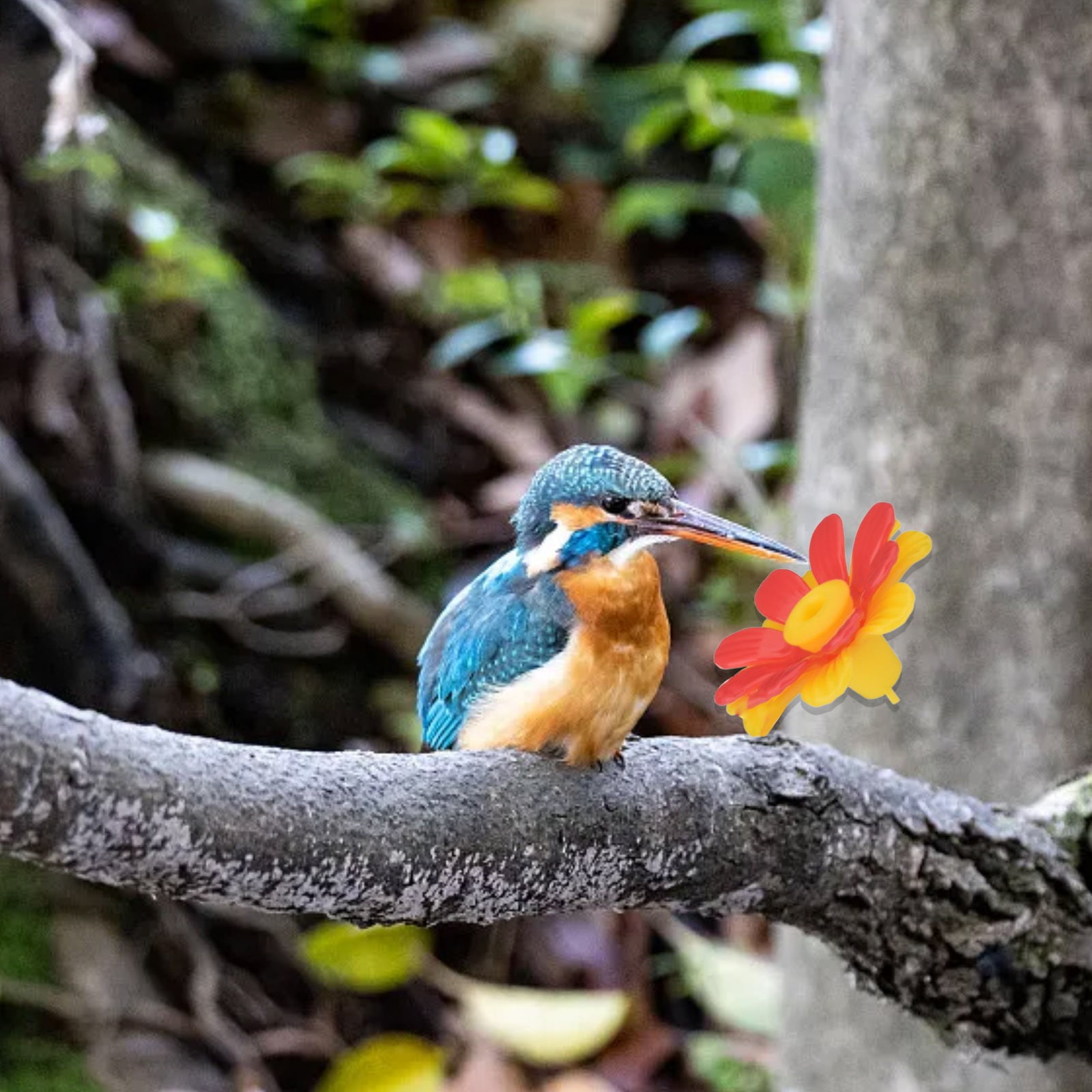 Squirrel Baffles for Bird Feeders Graduation Season Outdoor Hanging