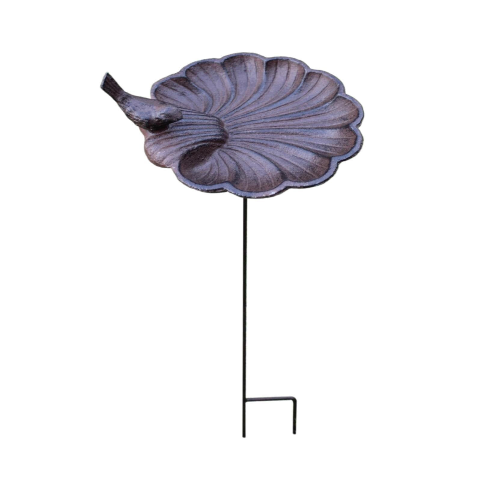 Squirrel Be Feeder with Camera Wild Birds Unlimited Suet Feeder Glass