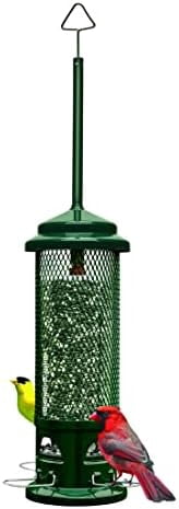 Squirrel Buster Legacy – ECHT Eichhörnchensicherer Vogelfutterspender Mit 4 Metall-Sitzstangen, 1,2 Kg Fassungsvermögen, Einfach Zu Reinigen (Grün)