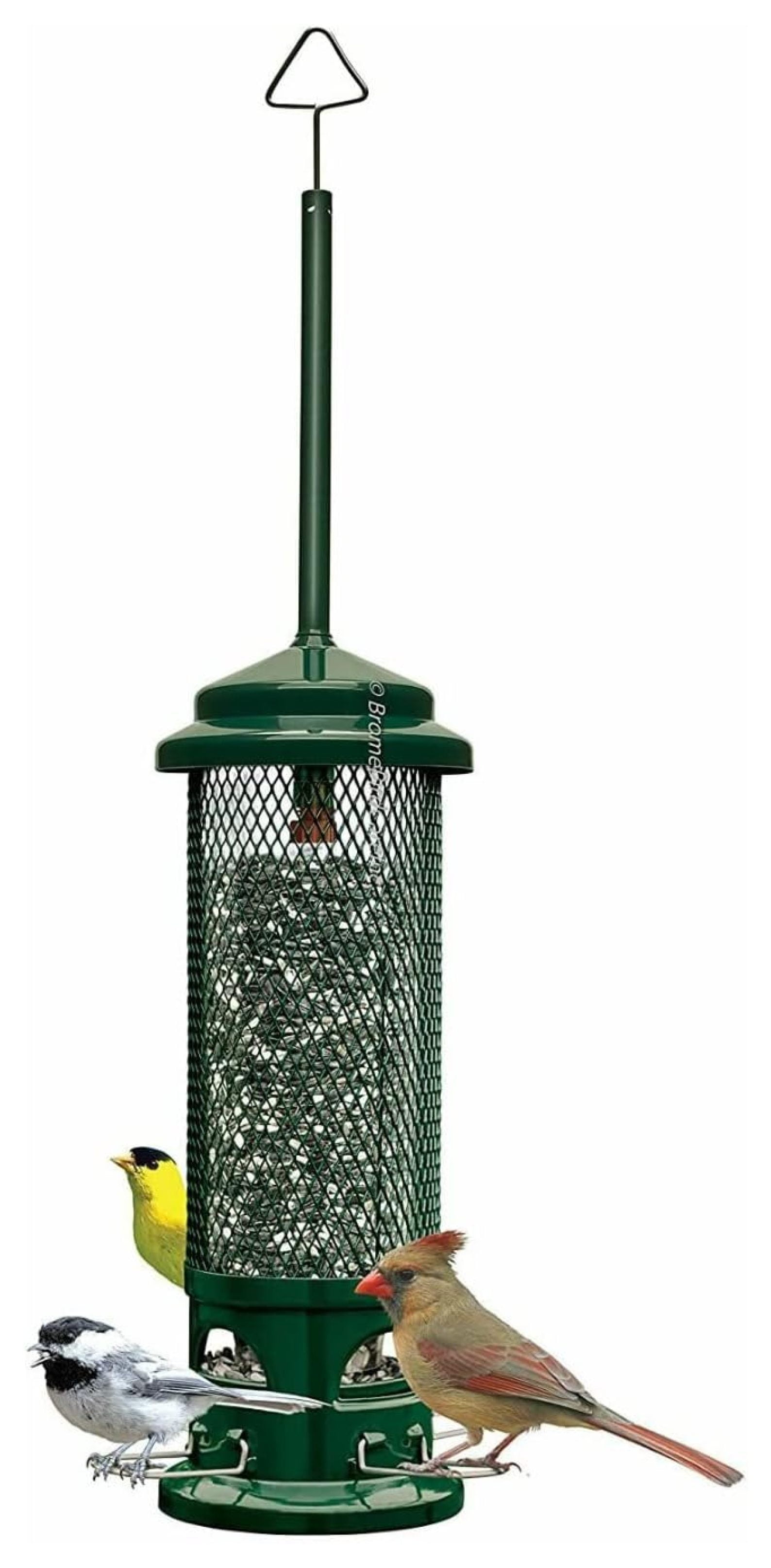 Green Metal Squirrel Resistant Hanging Tube Bird Feeder