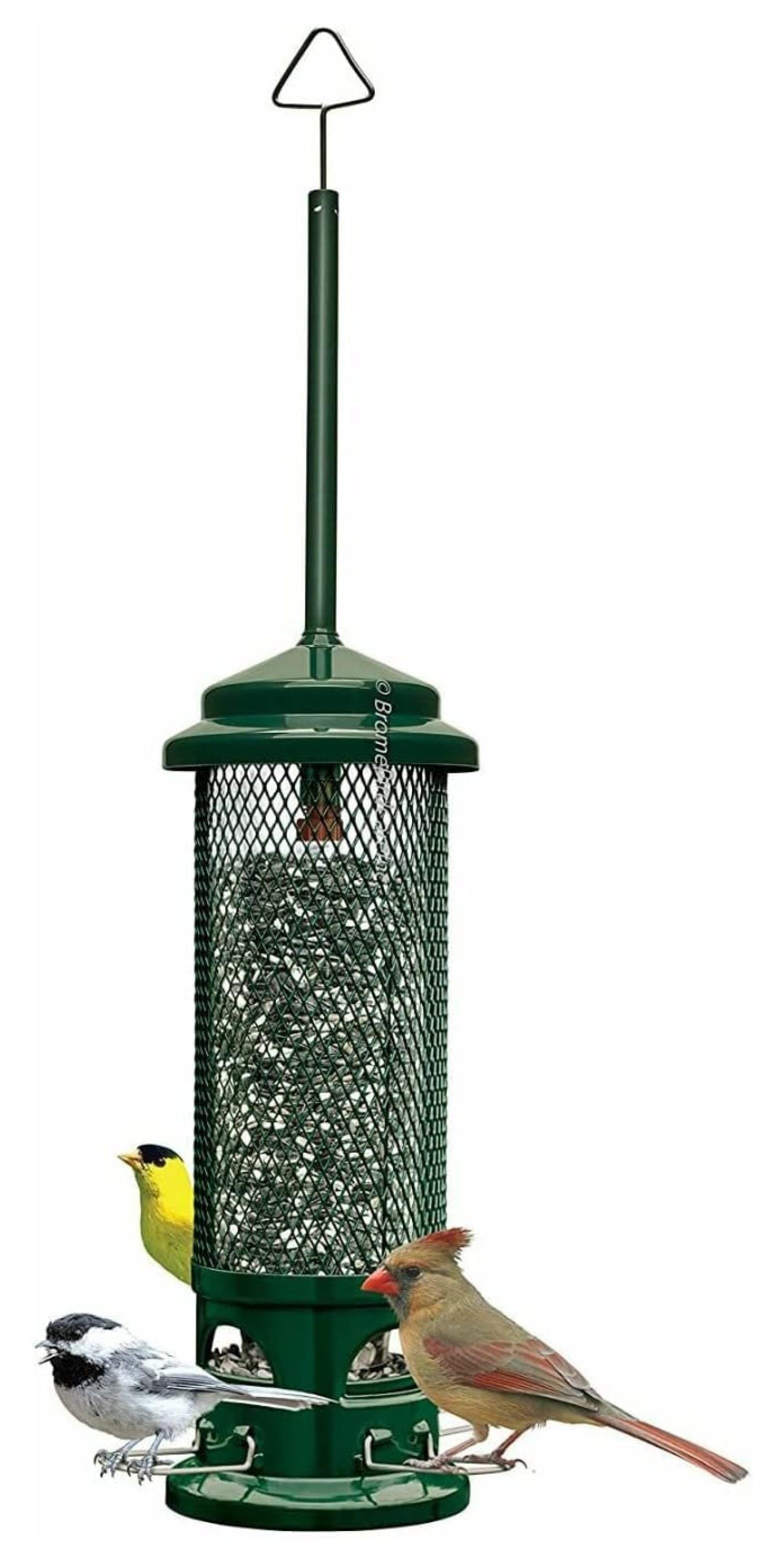 Green Metal Squirrel Resistant Hanging Tube Bird Feeder